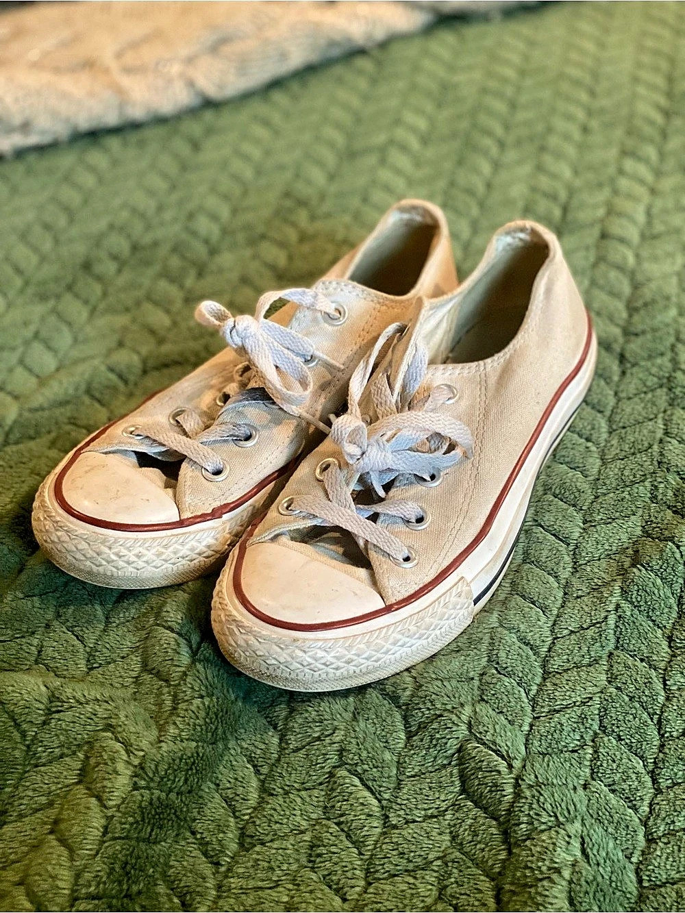 Converse Chuck Taylor All Star Low Top White Sneakers